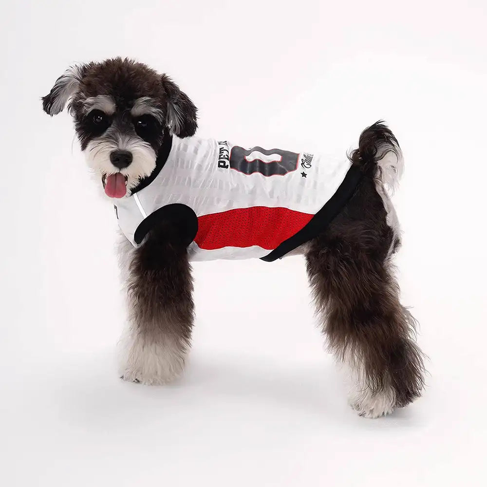 Stylische atmungsaktive Color-Blocked Hundeweste