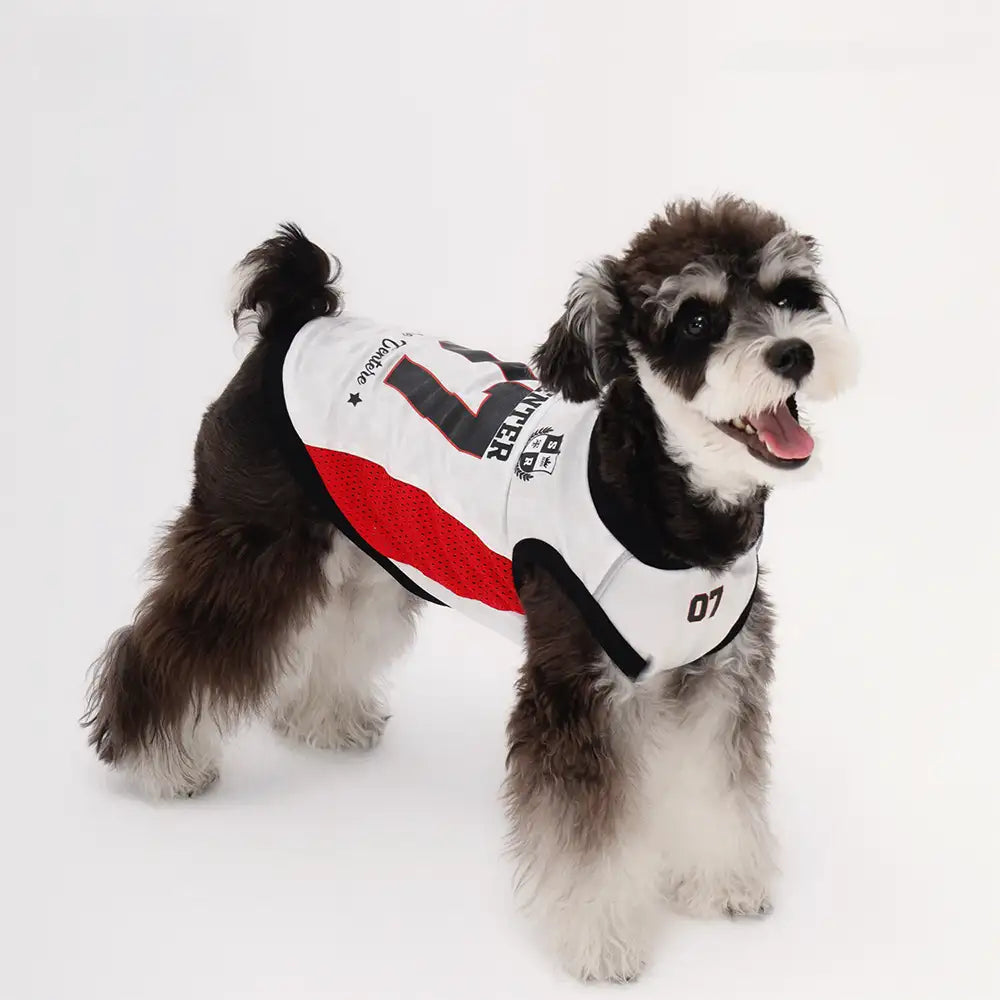 Stylische atmungsaktive Color-Blocked Hundeweste
