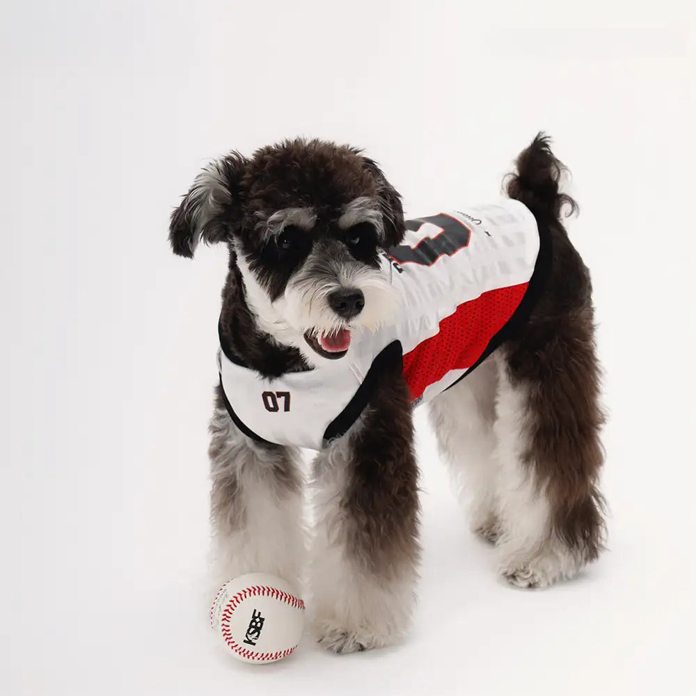 Stylische atmungsaktive Color-Blocked Hundeweste