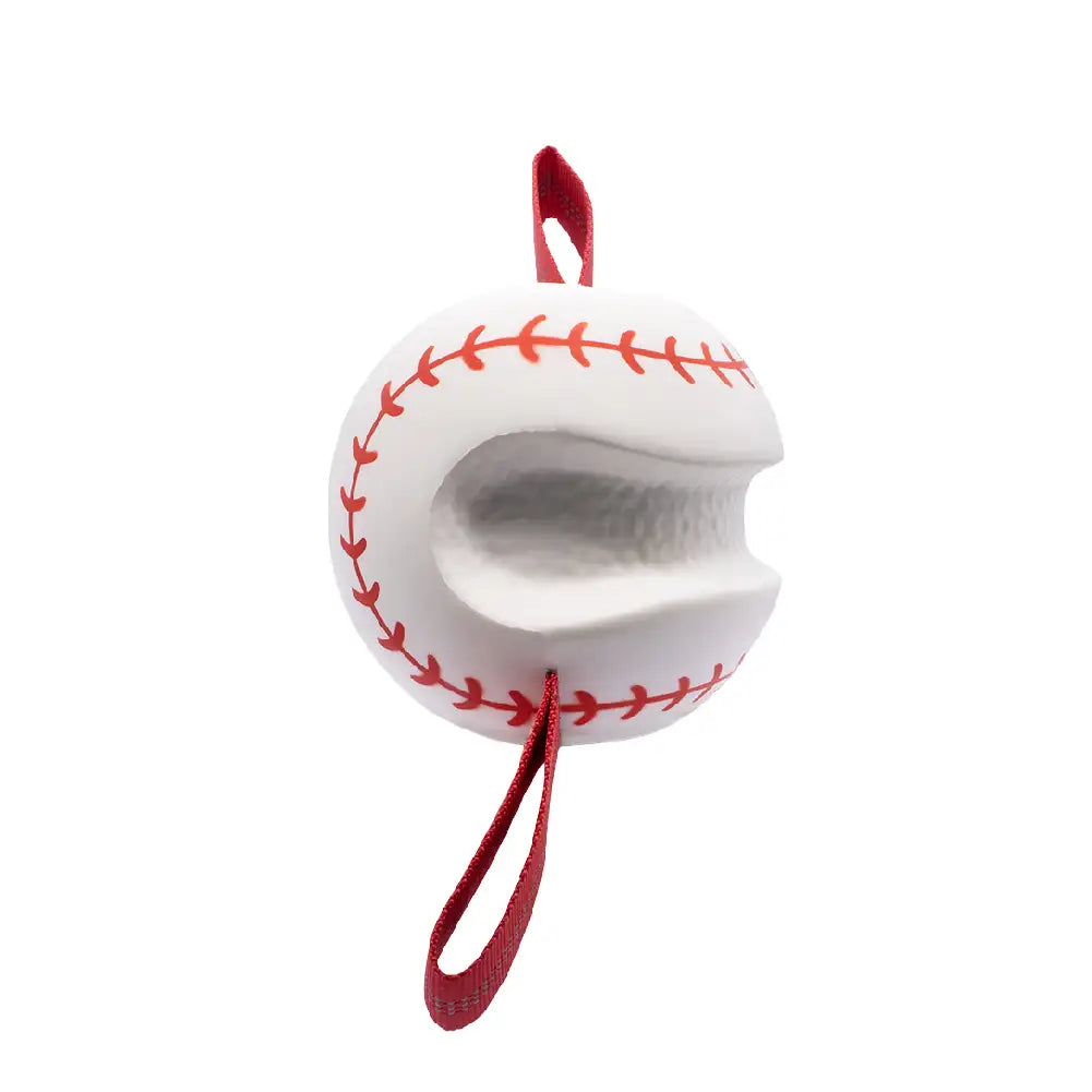 Teething & Play Elastic Interactive Dog Chew Toy