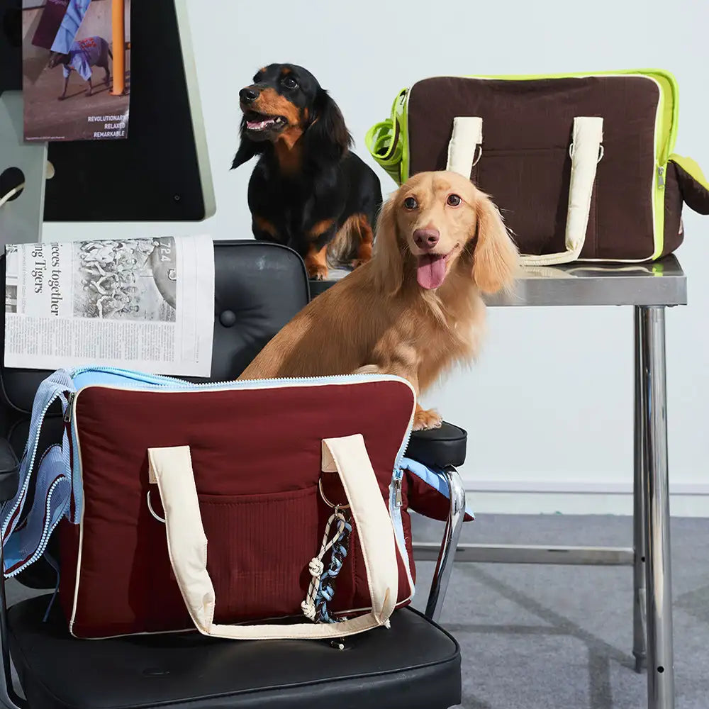 Urban Commuter Color-Block Multi-functional Pet Carrier Bag Dog Cat Carrier