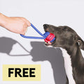 Knots Rope Tug Dog Toys - Color Clash