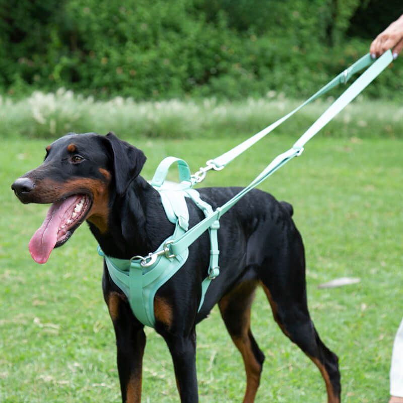 Gummy Walking Dog Harness