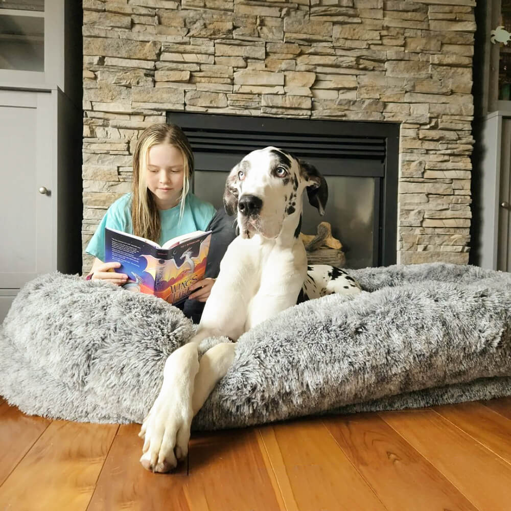 Donut Orthopedic Outdoor Dog Bed