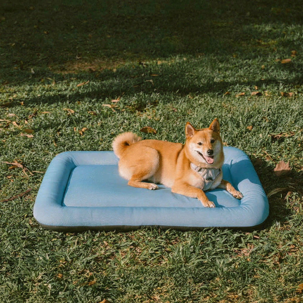 Outdoor Waterproof ＆ Chew-proof Memory Foam Orthopedic Dog Mat - Trek Lounge