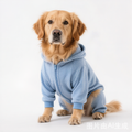 Waterproof Anti-Slip Large Dog Car Seat Cover-Urban Voyager